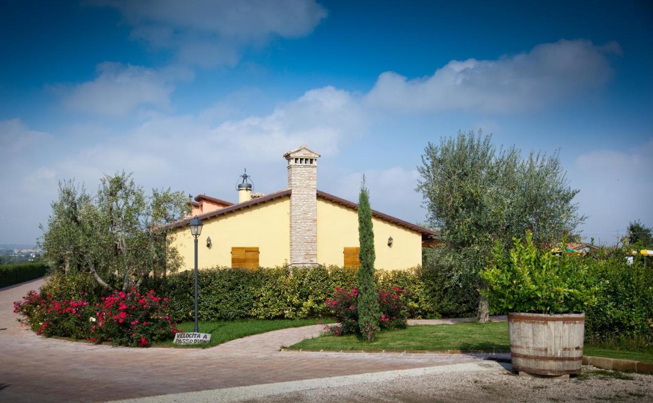Montemaggiore al Metauro Valle Del Metauro Country House מראה חיצוני תמונה